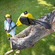 Best Lawn Edging Services  in USA